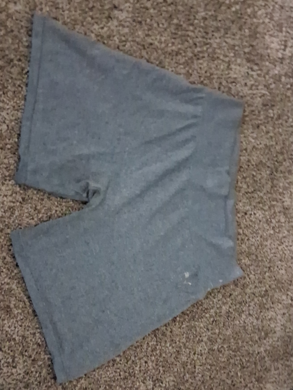 Puma Women’s Gray Bike Shorts
